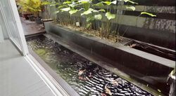 Jalan Elok (D9), Terrace #620361261